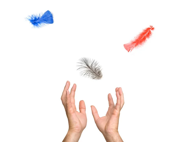 Κοντινό πλάνο πολύχρωμα φτερά, που υπάγονται στα χέρια — Φωτογραφία Αρχείου