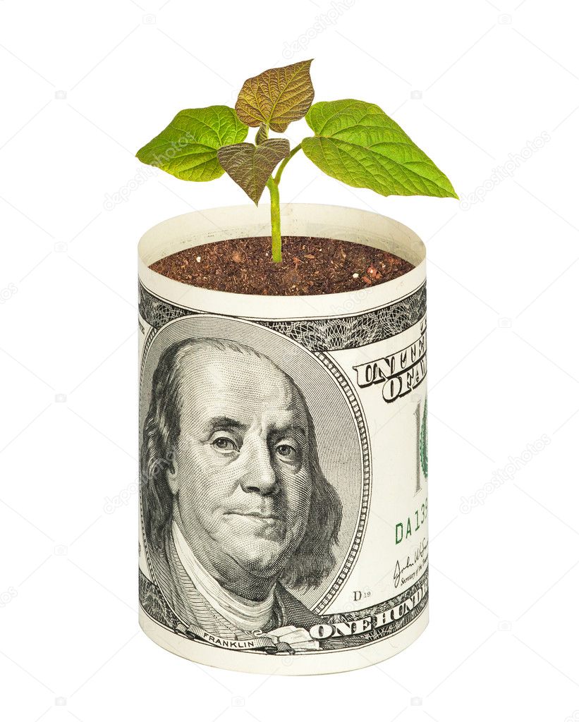 Tree growing from dollar bill