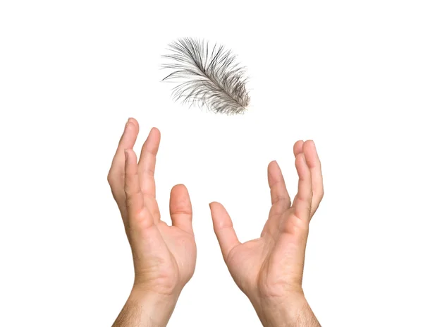 stock image Close up of grey feather falling to hand