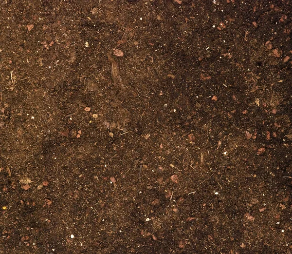 stock image Close up of soil