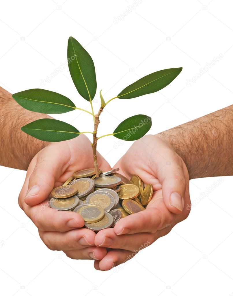 Palms with a tree growing from pile of coins