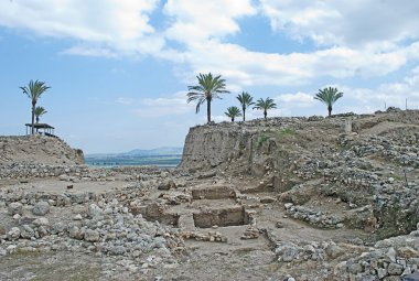 megiddo PalmsPalmas en Megido