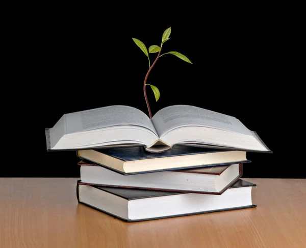 Avokádo stromek rostoucí z otevřené knihy — Stock fotografie