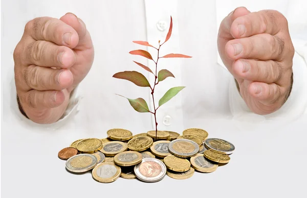 Manos protegiendo un árbol que crece de la pila de monedas —  Fotos de Stock