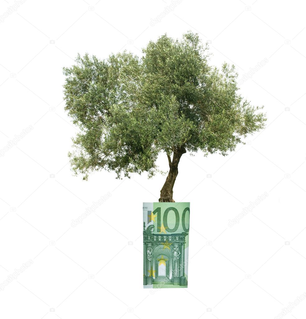 Olive tree growing from euro bill