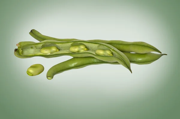 녹색 콩 배경에 고립 — 스톡 사진