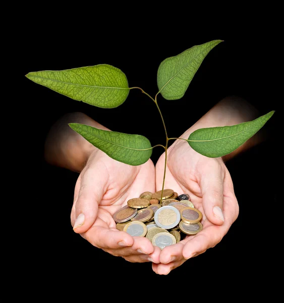 Palms with a tree growng from pile of coins — Stock Photo, Image