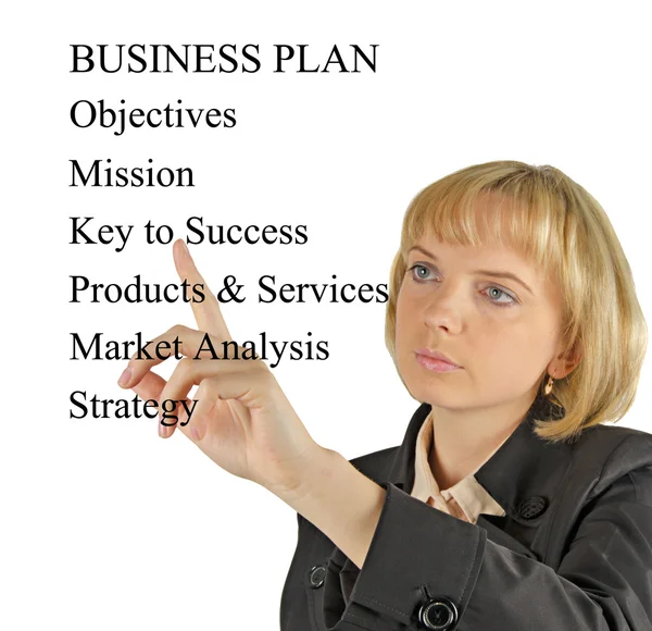 Präsentation des Businessplans — Stockfoto