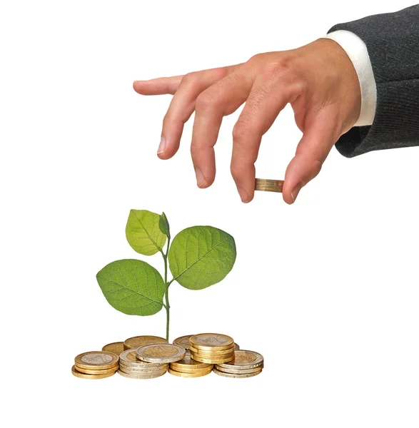 Investir em negócios ecológicos — Fotografia de Stock
