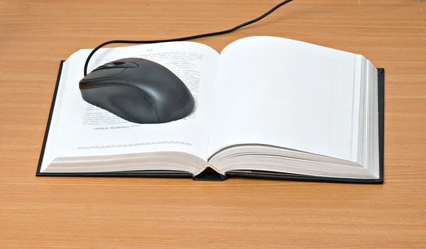 Mouse su libro aperto — Foto Stock