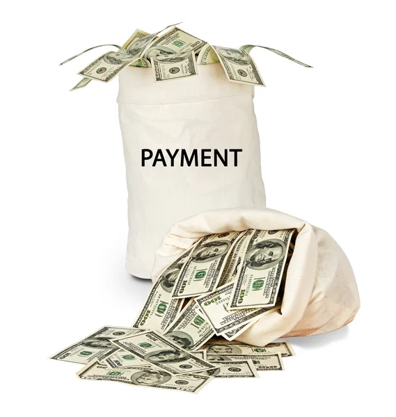 Bag with payment — Stock Photo, Image