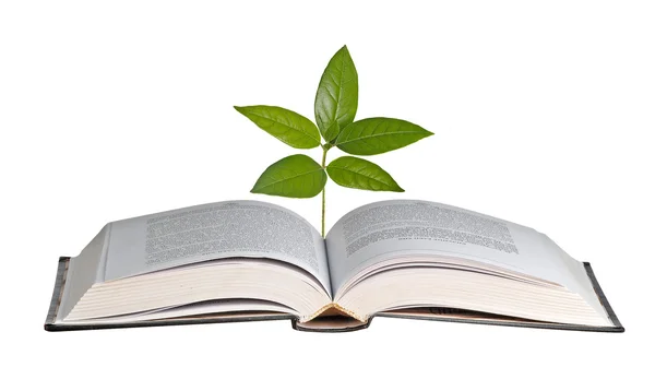 Árbol creciendo de libro abierto — Foto de Stock