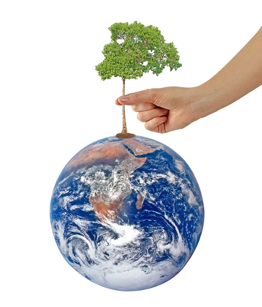 Árbol en la Tierra como símbolo de paz.Elementos de esta imagen furnis —  Fotos de Stock