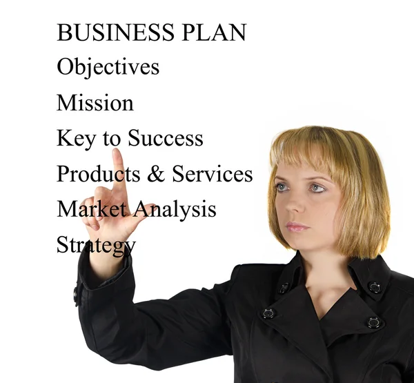 Presentación del plan de negocio —  Fotos de Stock