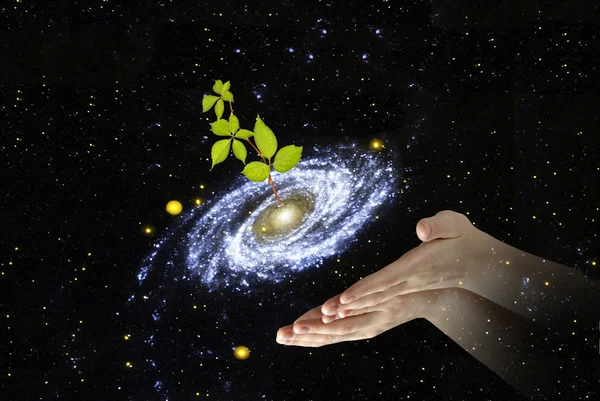 Roślin w centrum galaxy.elements ten obraz dostarczony przez na — Zdjęcie stockowe