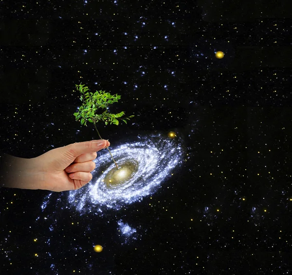 このイメージの宴会の galaxy.elements の中心に木を植えること — ストック写真