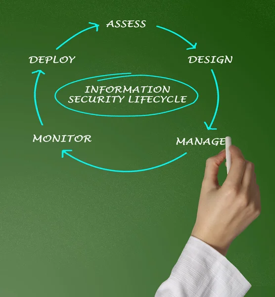 Schema del ciclo di vita della sicurezza delle informazioni — Foto Stock