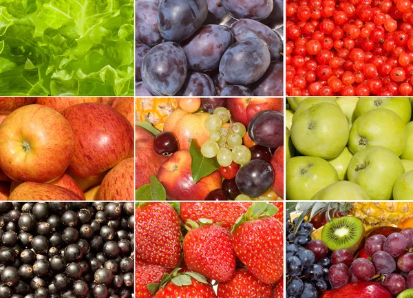 Collection of different fruits, berries and vegetables