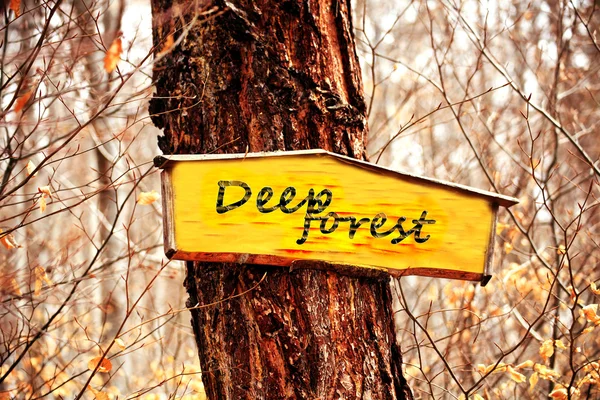 Signo florestal — Fotografia de Stock