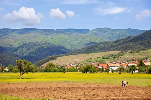 Bulgarian meadow — Stock Photo, Image