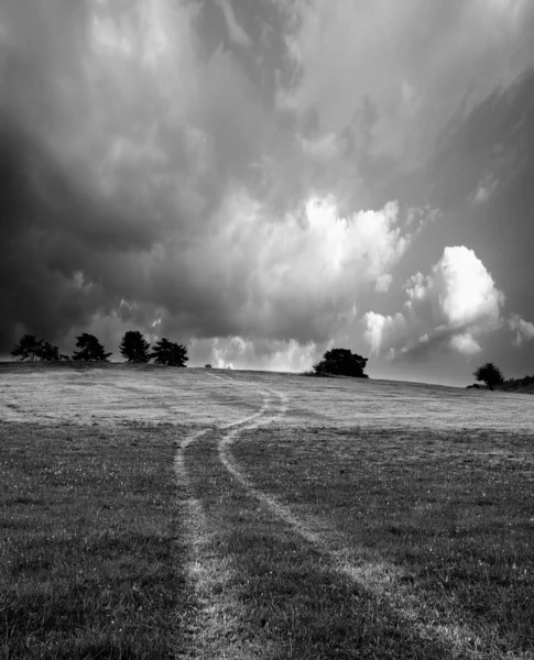 Black and white landscape — Stock Photo, Image