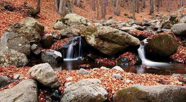 Autunno foresta waterfal — Foto Stock