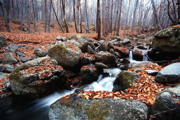 Río bosque otoñal — Foto de Stock