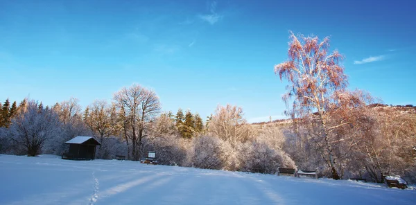 冬季背景 — 图库照片