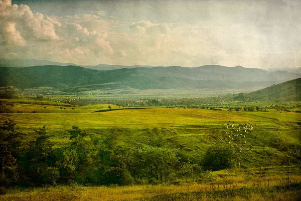Paesaggio pastorale vintage — Foto Stock