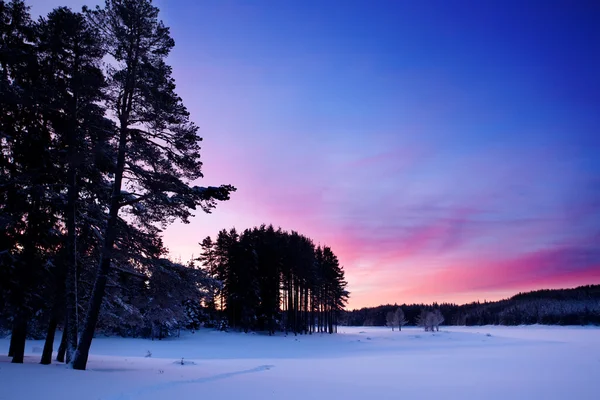 Niskie światło zimowego krajobrazu — Zdjęcie stockowe