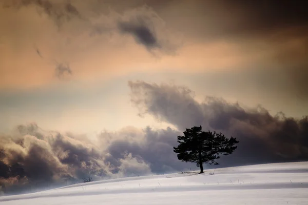 Cielo de invierno —  Fotos de Stock