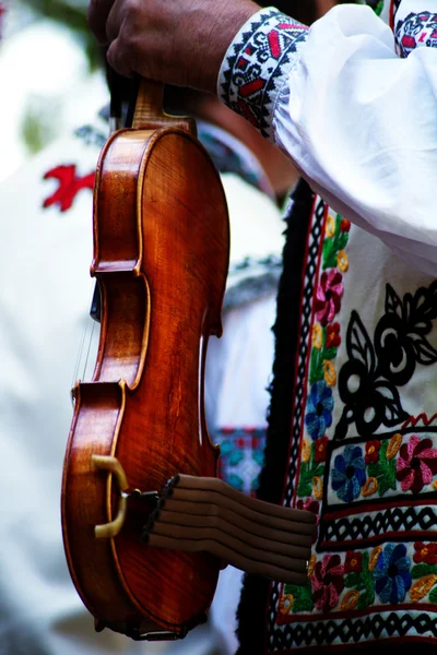 stock image Violin 2