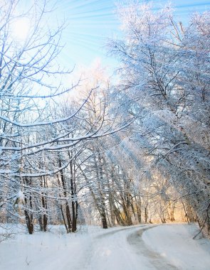 Winter vertical landscape clipart