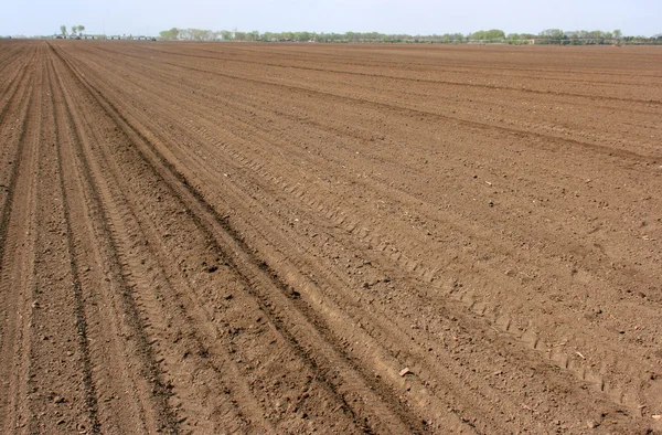 Cultivated soil — Stock Photo, Image
