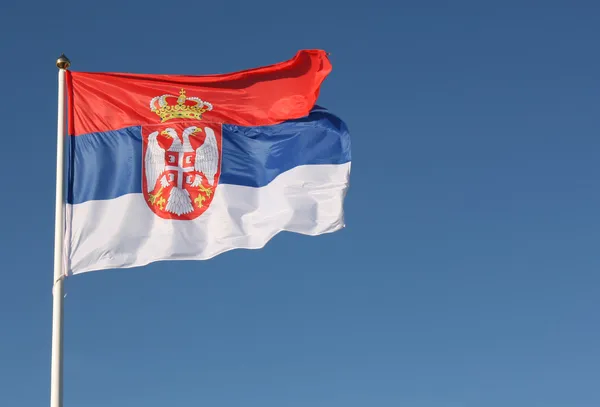 Szerb zászlót — Stock Fotó