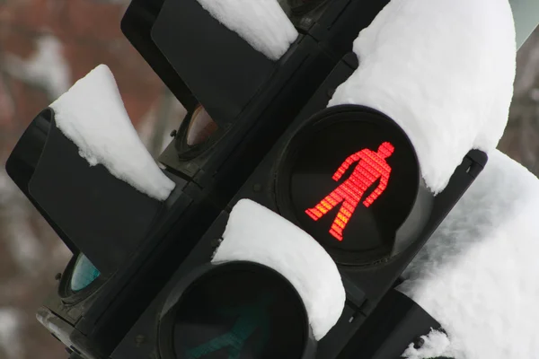 stock image Traffic light under snow