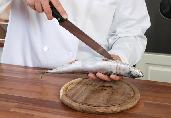 Chef-kok en vis — Stockfoto