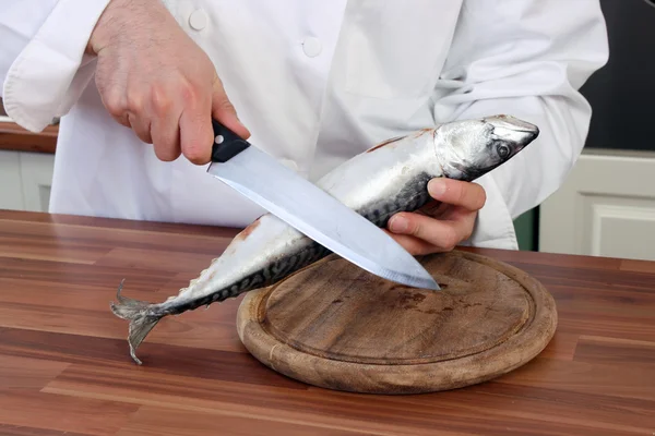 厨师和鱼 — 图库照片