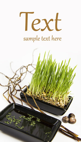 Гермированные семена
