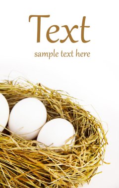 Nest with eggs clipart