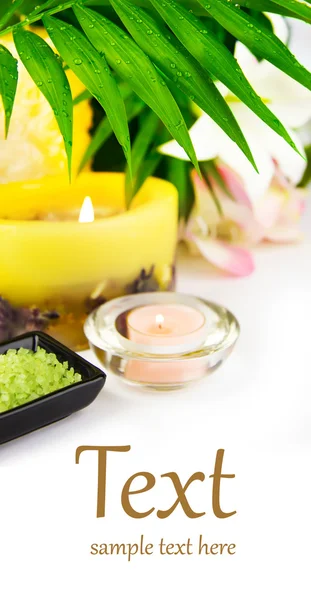 Spa setting with candle, salt and palm branch. — Stock Photo, Image