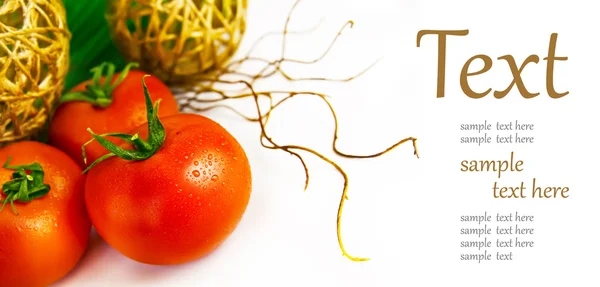 Taze olgun domatesler — Stok fotoğraf