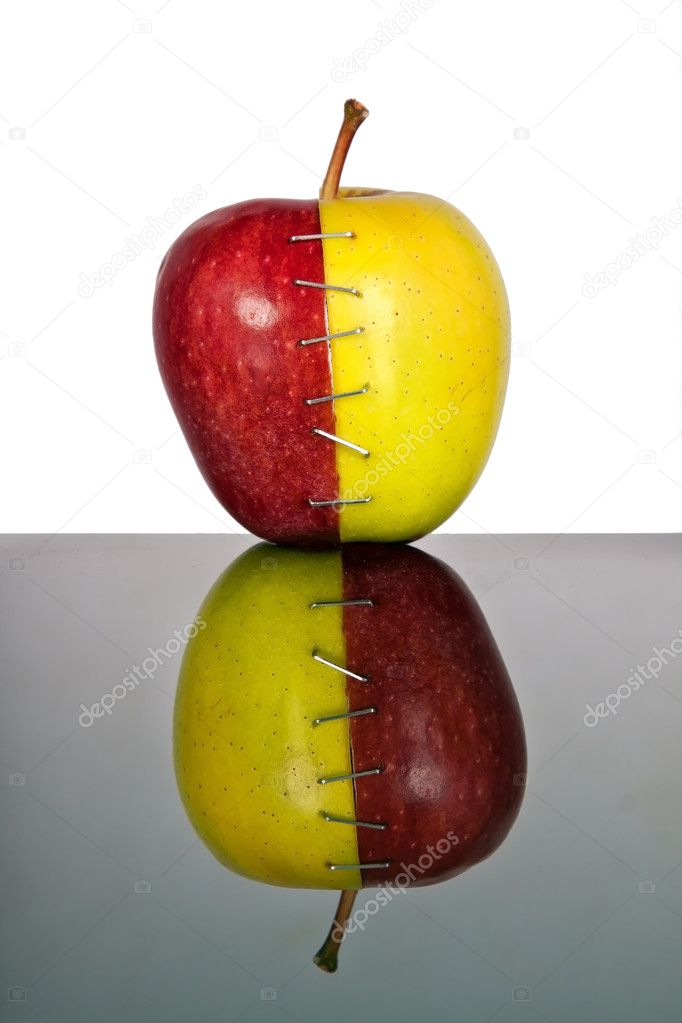 Red and yellow apple halves mend together