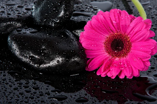Flor rosa en superficie mojada — Stockfoto