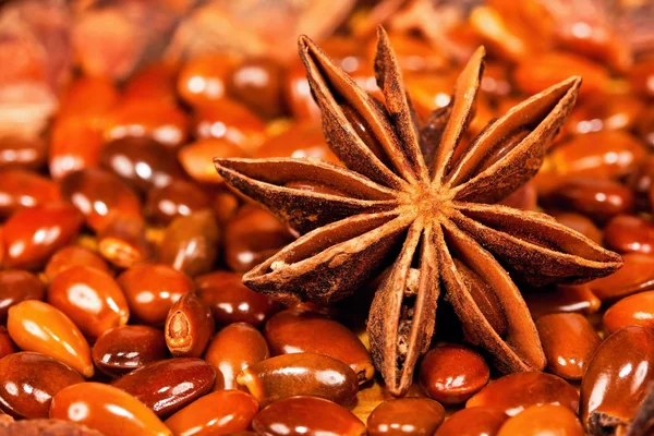 Звезда аниса с большим количеством семян вокруг него — стоковое фото