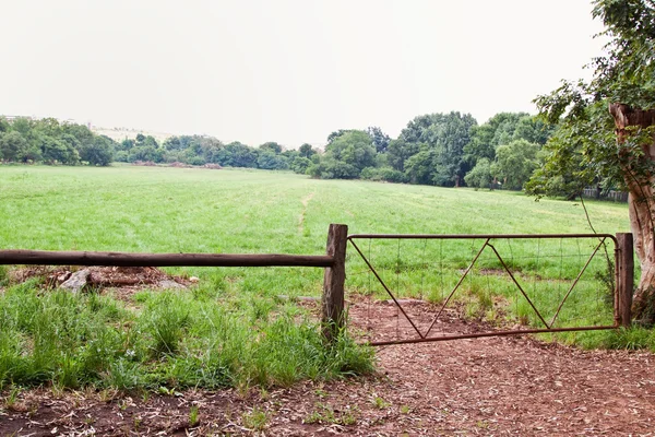 Grass field with gate — Stock Photo, Image
