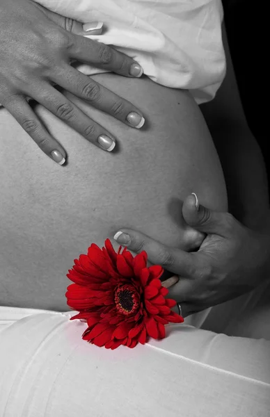 stock image Pregnant belly with red flower