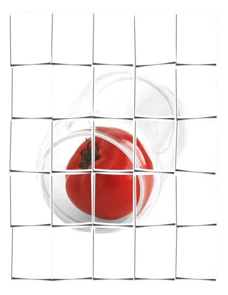 Tomato on a jar — Stockfoto