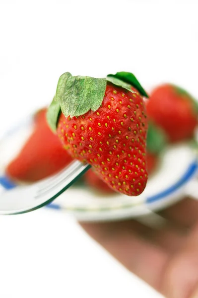 흰색 위에 포크에 신선한 딸기 — 스톡 사진