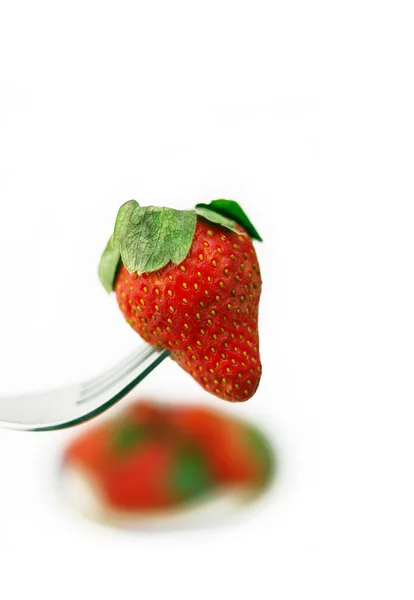 Färska jordgubbar på en gaffel över vita — Stockfoto